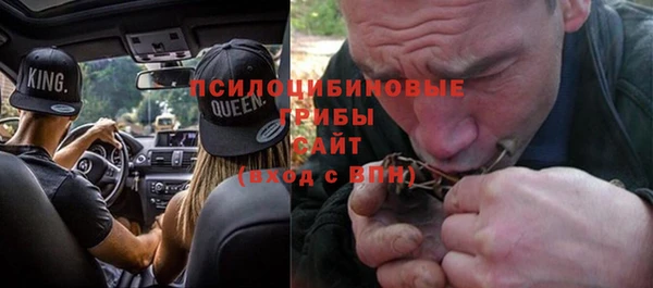 прущие грибы Верея
