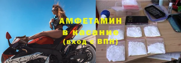 прущие грибы Верея