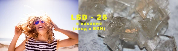 прущие грибы Верея