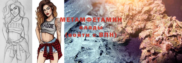 прущие грибы Верея