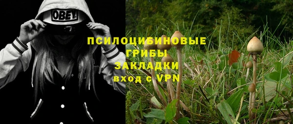 прущая мука Верхний Тагил