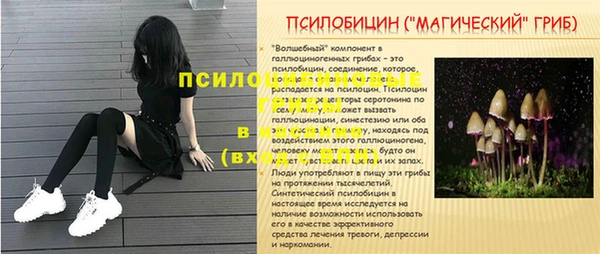 прущие грибы Верея
