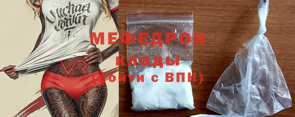 прущие грибы Верея