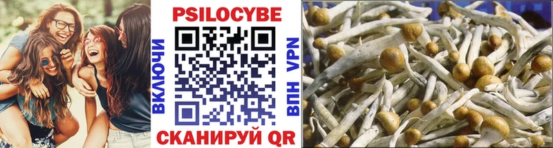 Псилоцибиновые грибы Cubensis  наркота  Гудермес 